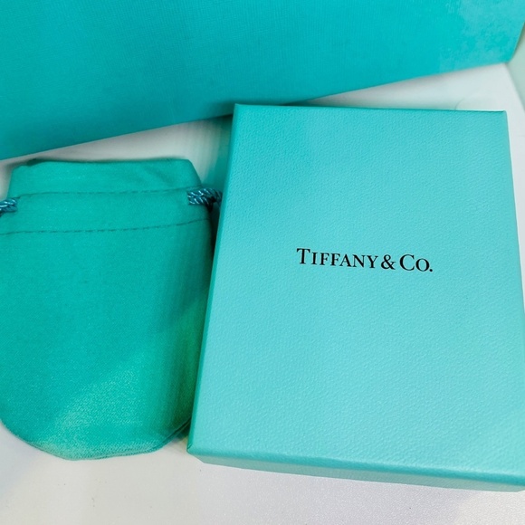 Tiffany & Co Heart Notes Necklace 16” Sterling Retired Box Fifth ave - Picture 9 of 9